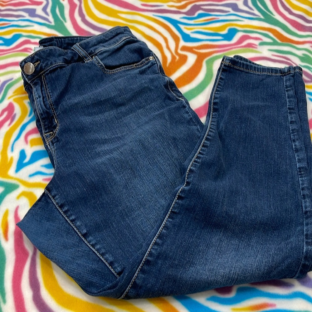 18L (long/tall) Lane Bryant Signature Fit Mid-Rise Skinny Jeans